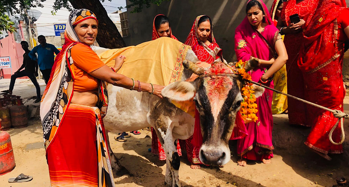 HOLY COW!