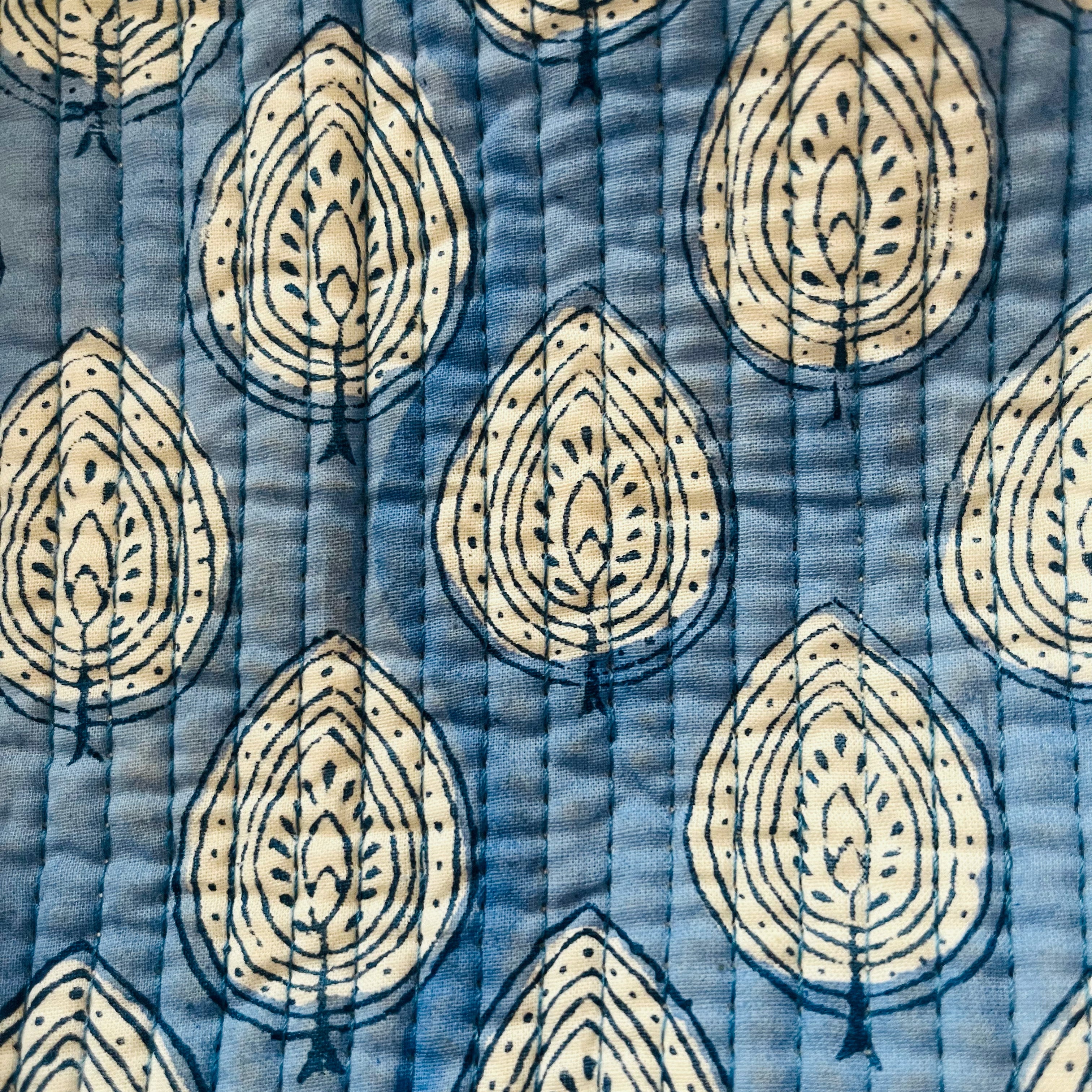 blue_fern_close1.jpg