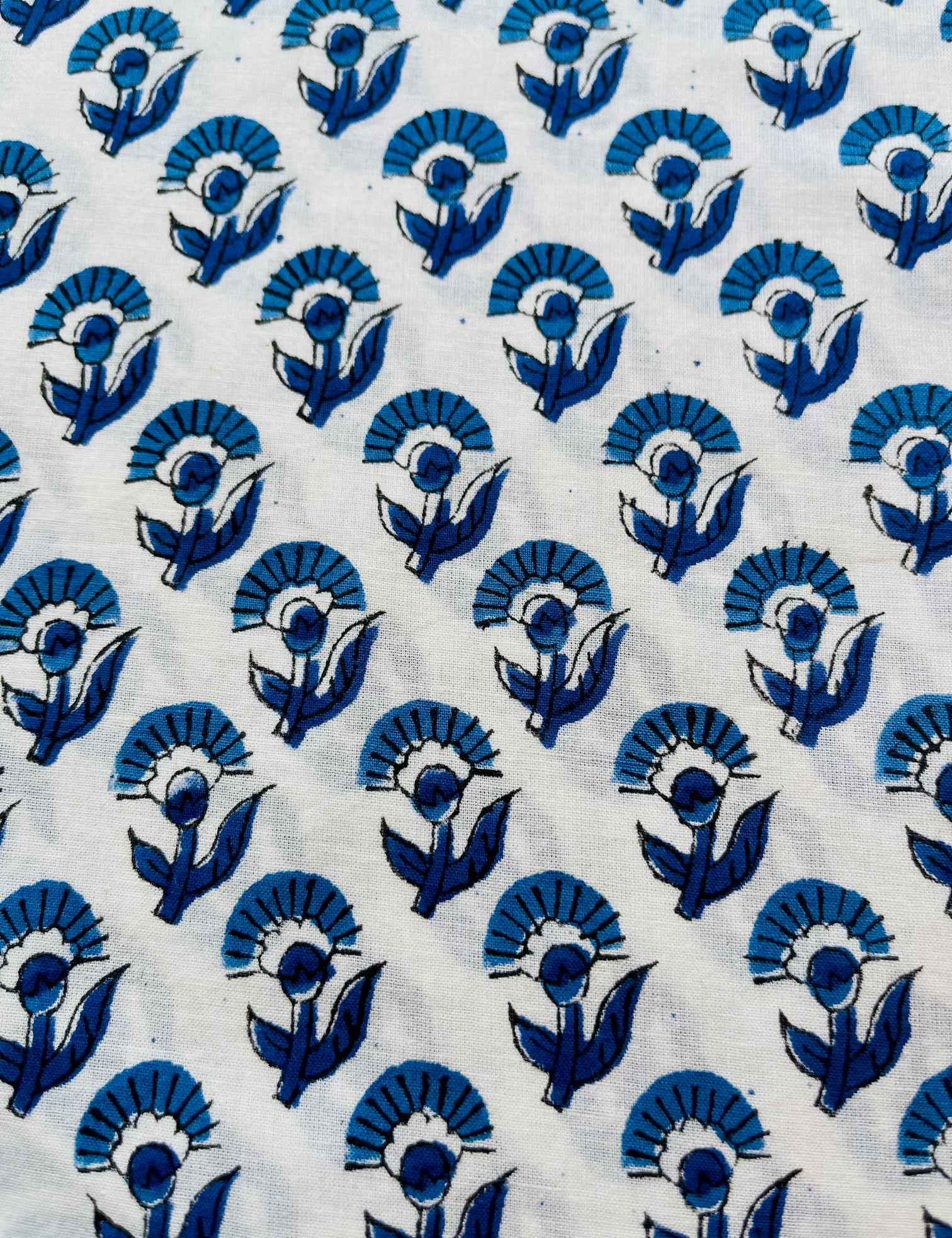 bluebhuti_ed657a0f-7d4b-4dde-9e1f-0e248648f6ef.jpg
