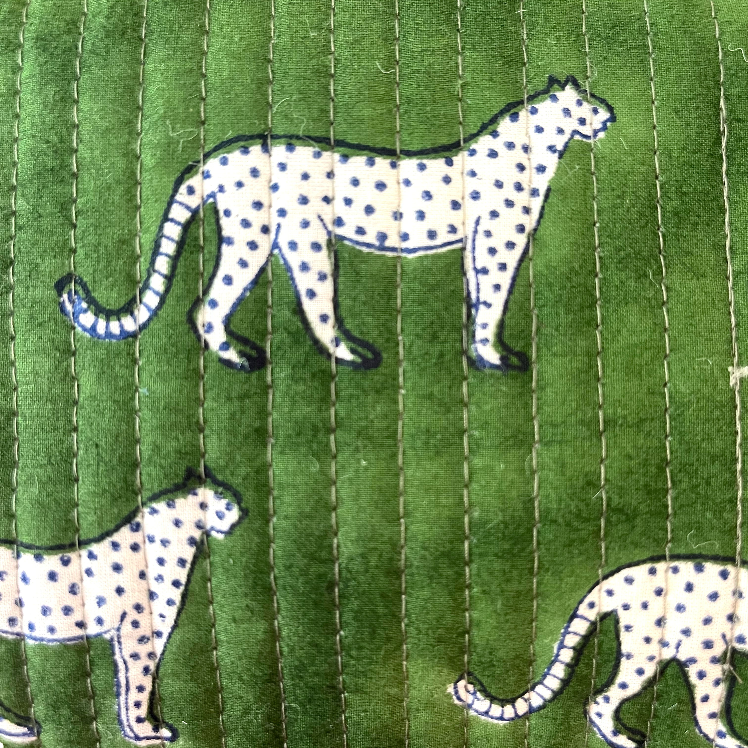 green_leopard_close.png