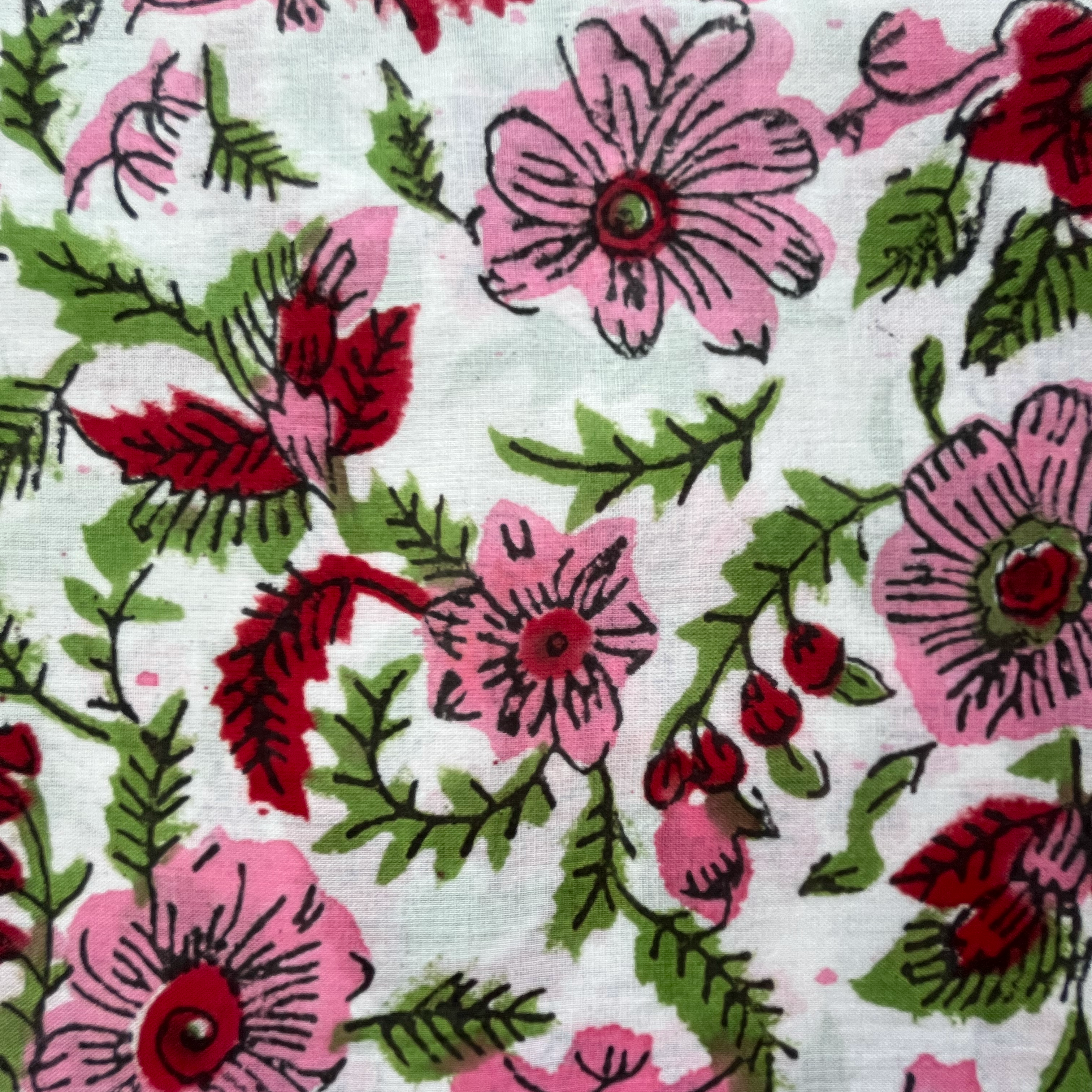 pink_anenome_close.png