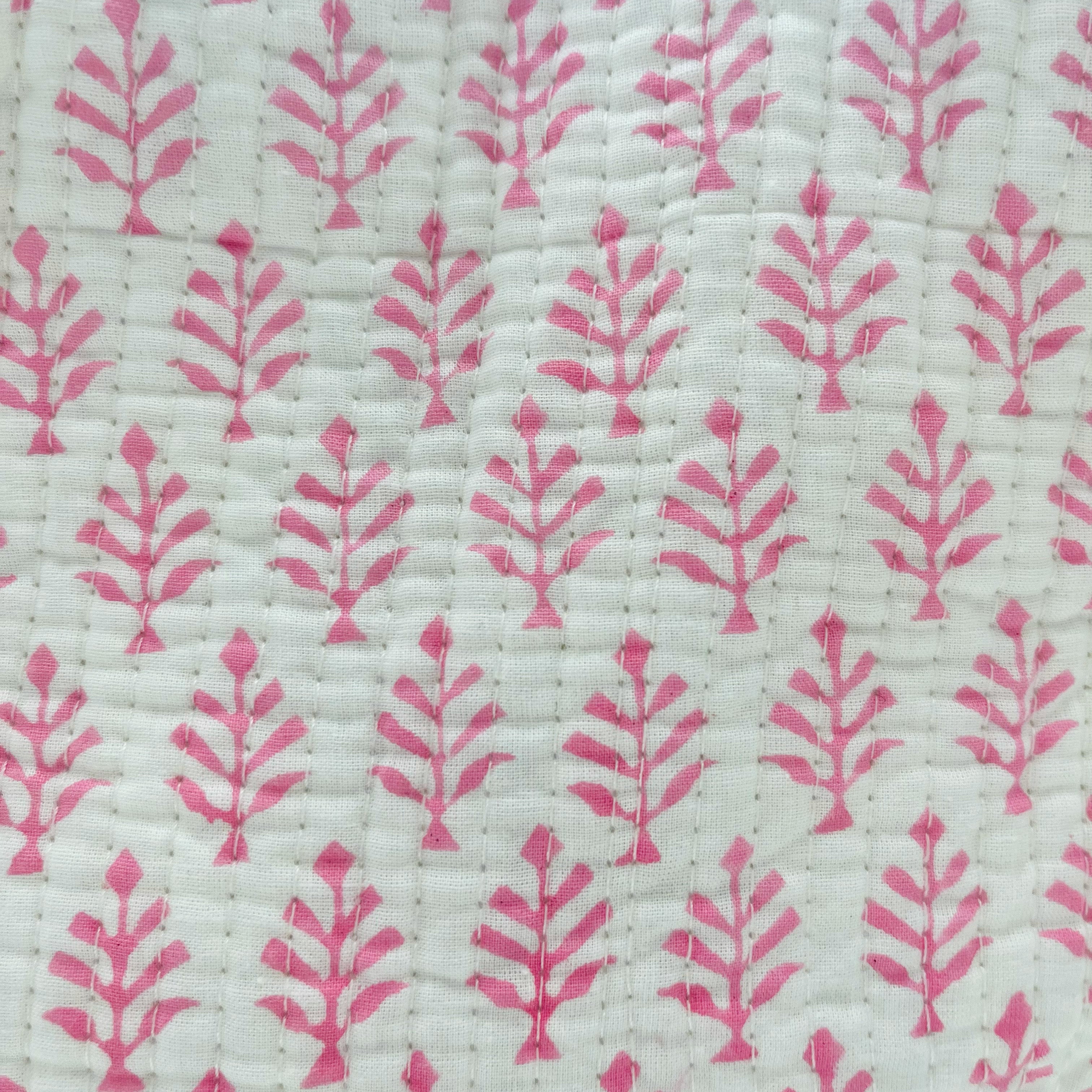 pink_fern_close1.jpg