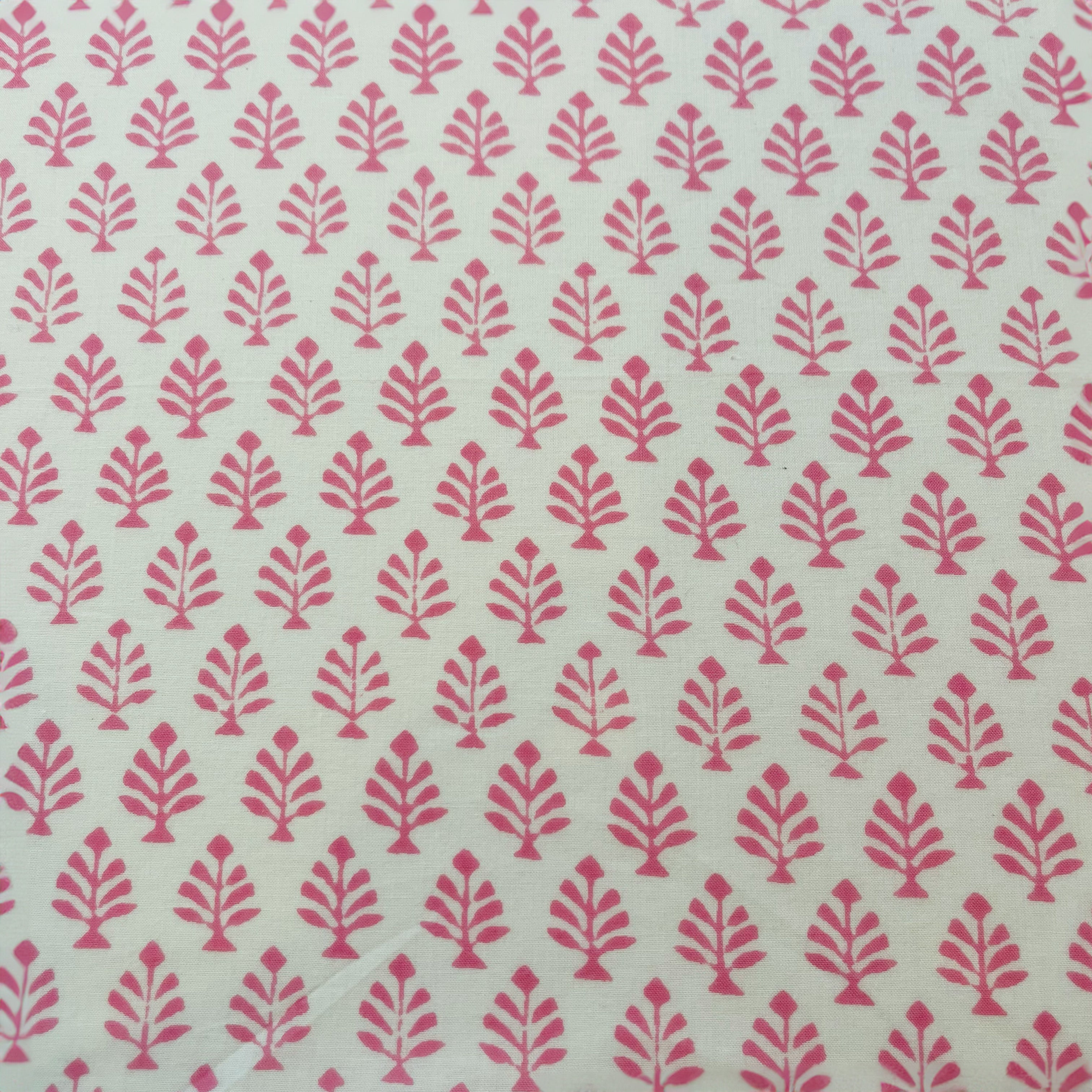 pink_fern_close_b8c4f727-5038-42ee-ae4c-cc9741765758.jpg