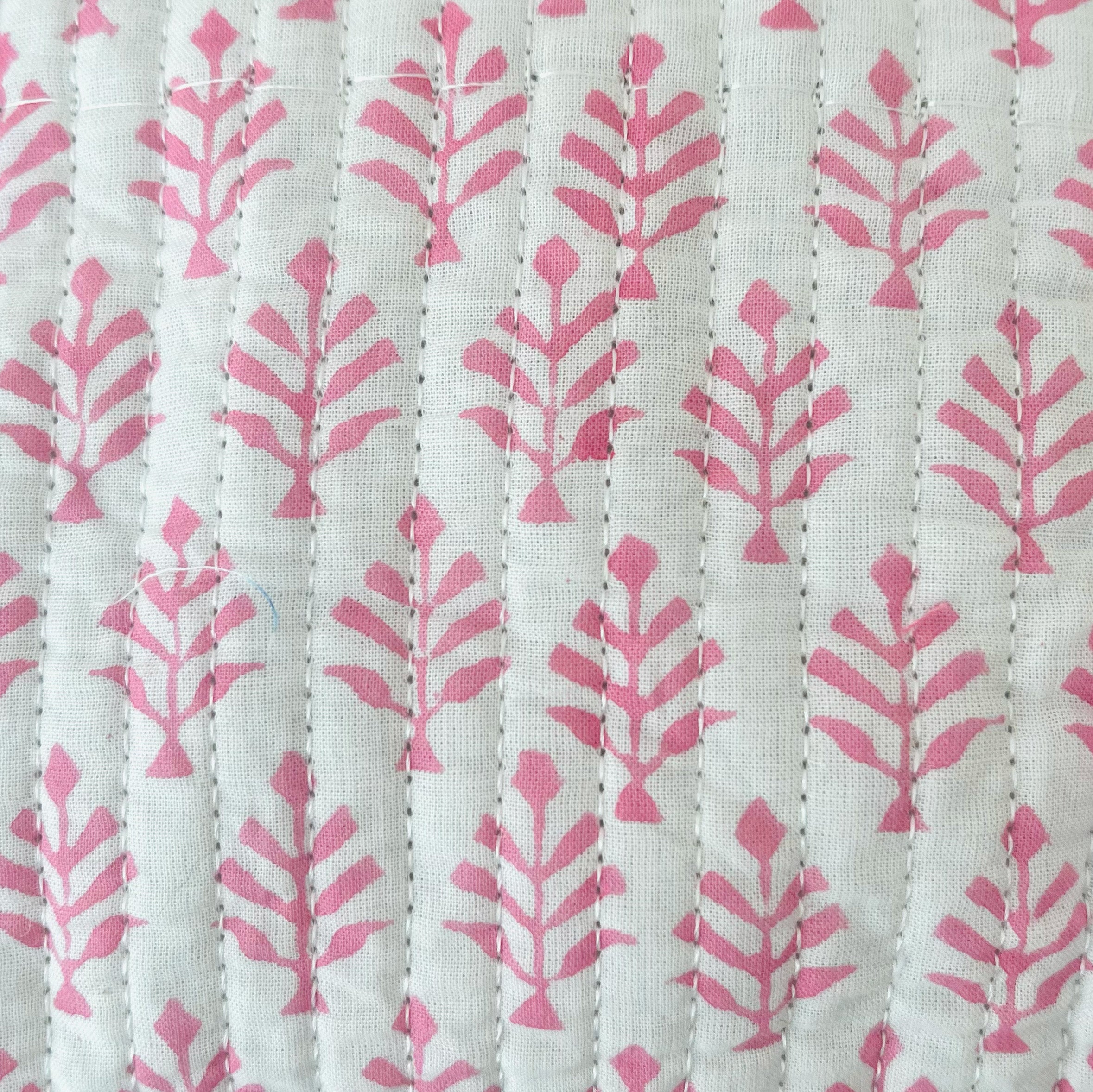 pink_fern_close_c9b83940-1a21-441a-accc-6906f9f9ed83.jpg