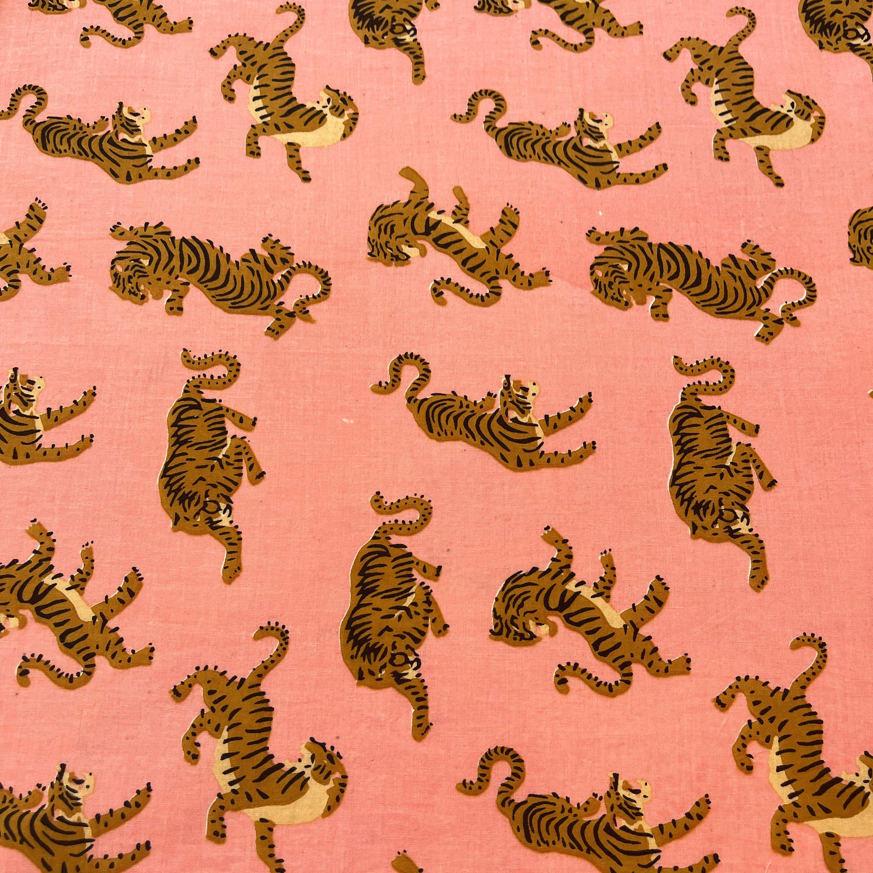 pink_tiger_close_3c4da0ce-1681-4506-ae2a-d1fa8ce3a151.jpg